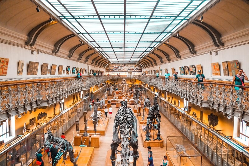 Exploring Ancient Times