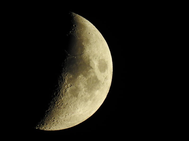 TRAPPIST-1